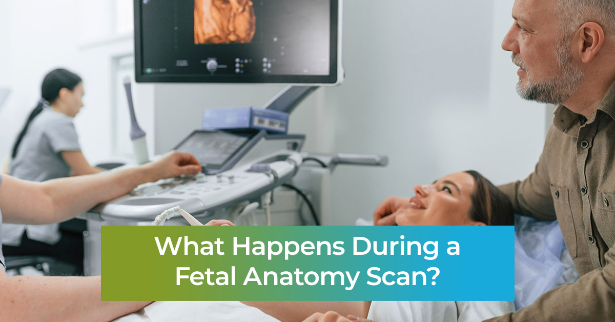 What Happens During a Fetal Anatomy Scan?